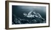 Twin dance-Andrey Narchuk-Framed Art Print