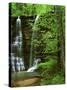 Twin Falls, Buffalo National River, Arkansas, USA-Charles Gurche-Stretched Canvas