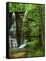 Twin Falls, Buffalo National River, Arkansas, USA-Charles Gurche-Framed Stretched Canvas