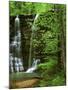 Twin Falls, Buffalo National River, Arkansas, USA-Charles Gurche-Mounted Premium Photographic Print