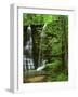 Twin Falls, Buffalo National River, Arkansas, USA-Charles Gurche-Framed Photographic Print