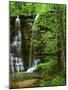 Twin Falls, Buffalo National River, Arkansas, USA-Charles Gurche-Mounted Photographic Print