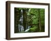 Twin Falls, Buffalo National River, Arkansas, USA-Charles Gurche-Framed Photographic Print