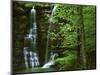 Twin Falls, Buffalo National River, Arkansas, USA-Charles Gurche-Mounted Photographic Print