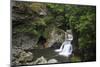 Twin Falls, Lynn Canyon Park, Vancouver, British Columbia, Canada, North America-Richard Cummins-Mounted Photographic Print