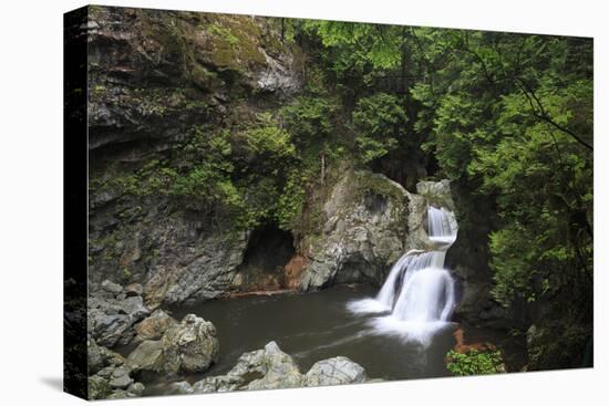 Twin Falls, Lynn Canyon Park, Vancouver, British Columbia, Canada, North America-Richard Cummins-Stretched Canvas