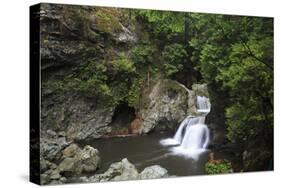 Twin Falls, Lynn Canyon Park, Vancouver, British Columbia, Canada, North America-Richard Cummins-Stretched Canvas