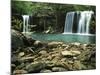 Twin Falls, Ozark-St Francis National Forest, Arkansas, USA-Charles Gurche-Mounted Photographic Print