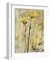 Twin Gold-Jodi Maas-Framed Giclee Print