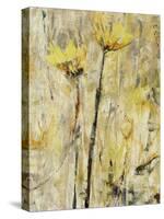 Twin Gold-Jodi Maas-Stretched Canvas