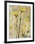 Twin Gold-Jodi Maas-Framed Giclee Print