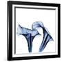 Twin Indigo Calla Lilies-Albert Koetsier-Framed Art Print