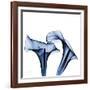 Twin Indigo Calla Lilies-Albert Koetsier-Framed Art Print