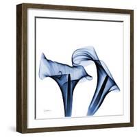 Twin Indigo Calla Lilies-Albert Koetsier-Framed Art Print