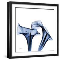 Twin Indigo Calla Lilies-Albert Koetsier-Framed Art Print