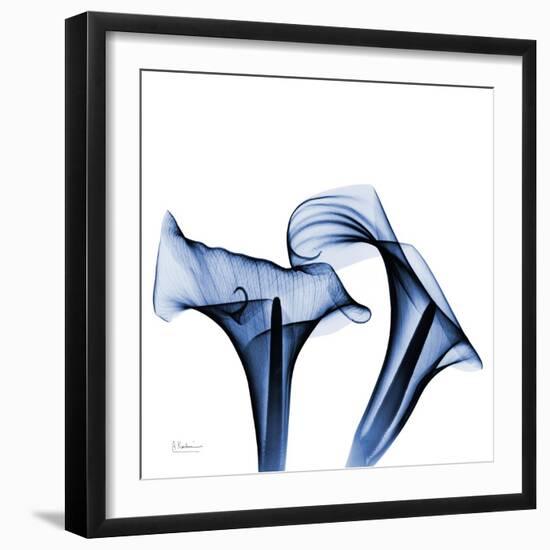 Twin Indigo Calla Lilies-Albert Koetsier-Framed Art Print
