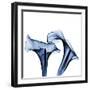 Twin Indigo Calla Lilies-Albert Koetsier-Framed Art Print