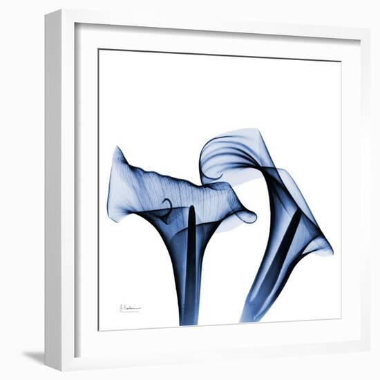 Twin Indigo Calla Lilies-Albert Koetsier-Framed Art Print