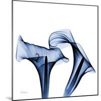 Twin Indigo Calla Lilies-Albert Koetsier-Mounted Art Print