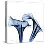 Twin Indigo Calla Lilies-Albert Koetsier-Stretched Canvas