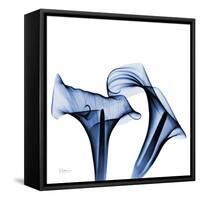 Twin Indigo Calla Lilies-Albert Koetsier-Framed Stretched Canvas