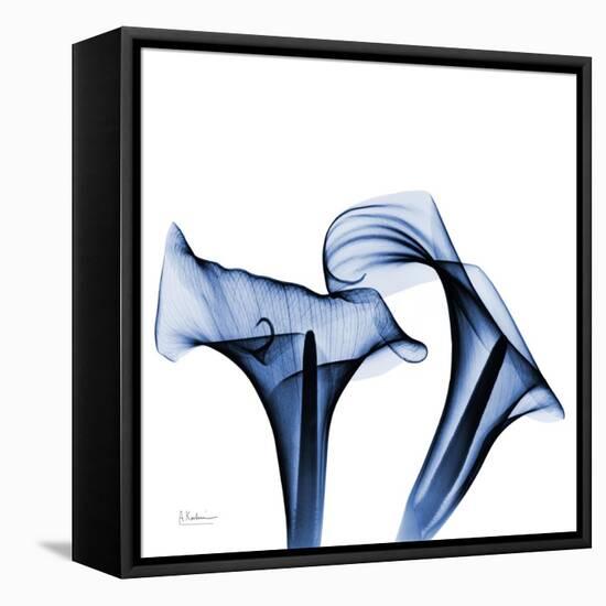 Twin Indigo Calla Lilies-Albert Koetsier-Framed Stretched Canvas