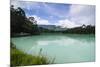 Twin Lakes Telaga Warna and Telaga Pengilon, Dieng Plateau, Java, Indonesia, Southeast Asia, Asia-Michael Runkel-Mounted Photographic Print