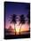Twin Palms at Sunset-Bill Ross-Stretched Canvas