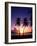 Twin Palms at Sunset-Bill Ross-Framed Photographic Print