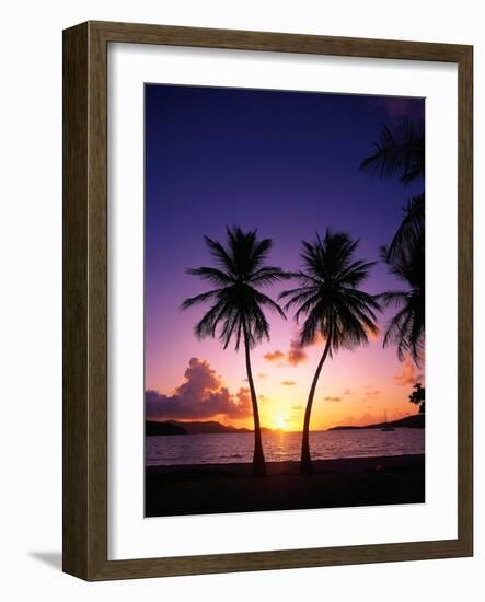 Twin Palms at Sunset-Bill Ross-Framed Photographic Print