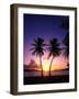 Twin Palms at Sunset-Bill Ross-Framed Photographic Print