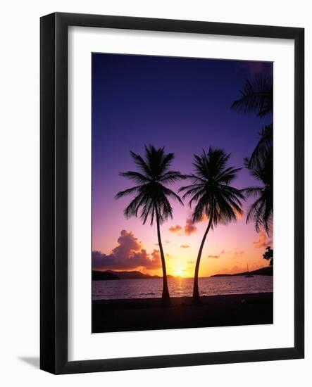 Twin Palms at Sunset-Bill Ross-Framed Photographic Print