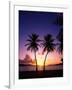 Twin Palms at Sunset-Bill Ross-Framed Photographic Print