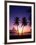 Twin Palms at Sunset-Bill Ross-Framed Photographic Print