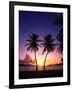 Twin Palms at Sunset-Bill Ross-Framed Photographic Print