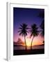 Twin Palms at Sunset-Bill Ross-Framed Photographic Print