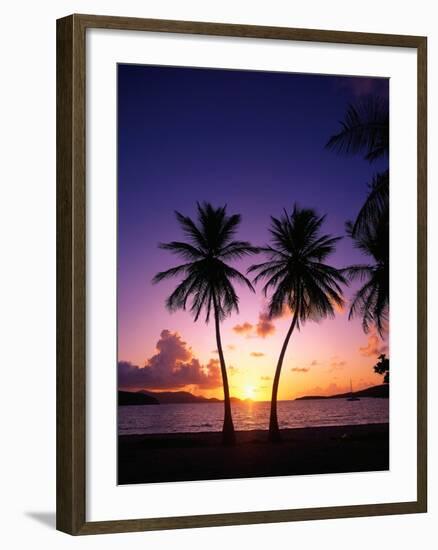 Twin Palms at Sunset-Bill Ross-Framed Photographic Print