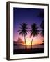 Twin Palms at Sunset-Bill Ross-Framed Photographic Print