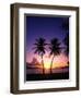 Twin Palms at Sunset-Bill Ross-Framed Photographic Print