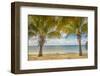 Twin Palms-Mary Lou Johnson-Framed Art Print