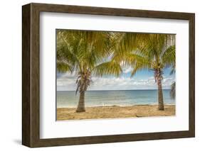 Twin Palms-Mary Lou Johnson-Framed Art Print