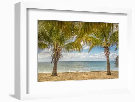 Twin Palms-Mary Lou Johnson-Framed Art Print