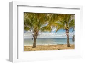 Twin Palms-Mary Lou Johnson-Framed Art Print