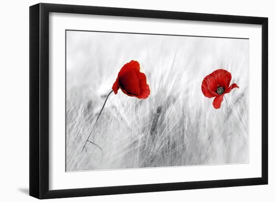 Twin Poppy-Ata Alishahi-Framed Giclee Print