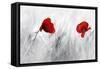 Twin Poppy-Ata Alishahi-Framed Stretched Canvas