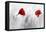 Twin Poppy-Ata Alishahi-Framed Stretched Canvas