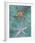 Twin Starfish III-Alicia Ludwig-Framed Art Print