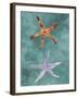 Twin Starfish III-Alicia Ludwig-Framed Art Print