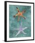 Twin Starfish III-Alicia Ludwig-Framed Art Print