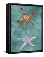 Twin Starfish III-Alicia Ludwig-Framed Stretched Canvas